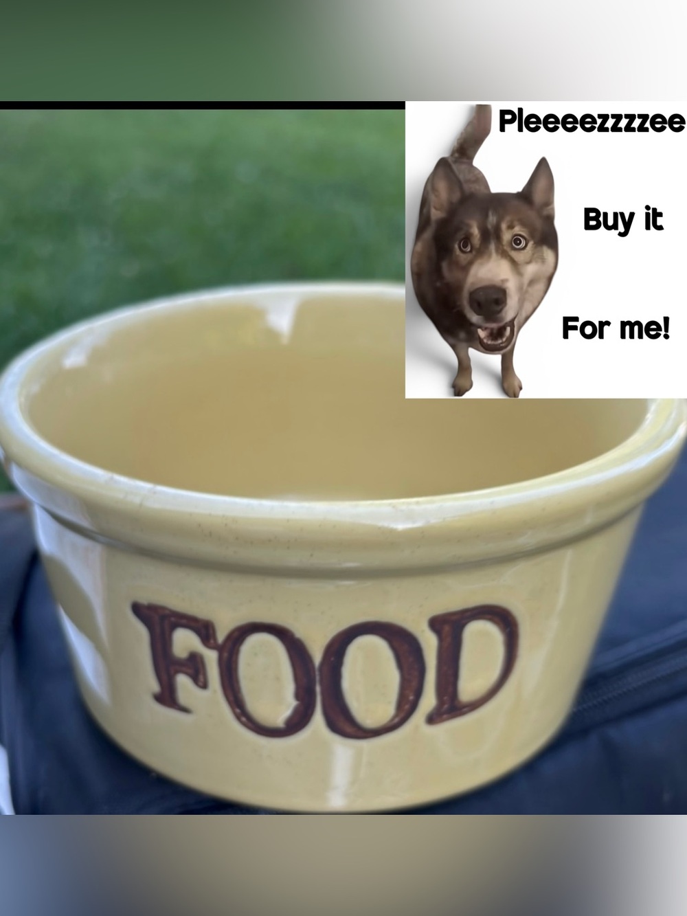 Stoneware Dog Feeder FOOD Bowl Robinson Ransbottom Pottery RRP. Buttery Yellow